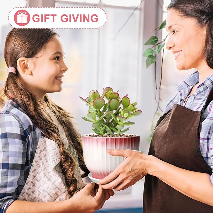 6.7 + 5.5 Inch Plant Pot, Ceramic Planter with Drainage and Saucer, Ceramic Pots for Plants, Indoor Plant pots,Ceramic Flower pots（Pink + White, Plants NOT Included）