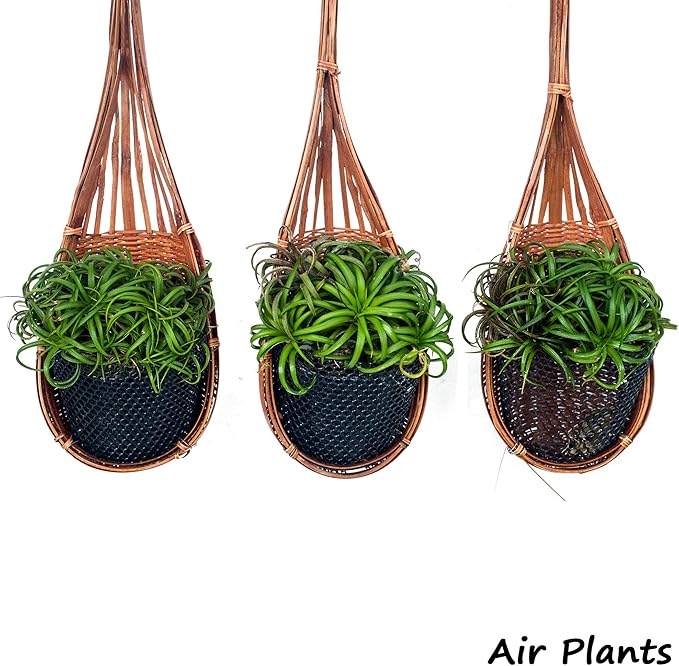 Horticultural Grade Perlite - One 8 Quart Bag ~2 Lbs - Grade 1, Fine Coarseness (~1/8 Inch Particles) - Soil Amendment Additive - for Growth, Aeration & Drainage for Potting Mix