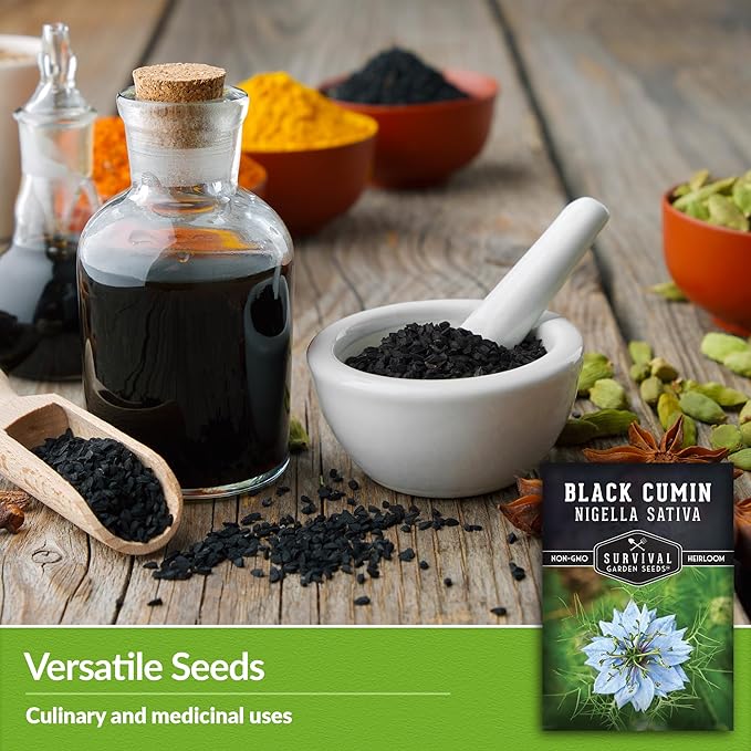 Black Cumin Seed for Planting - 1 Packet with Instructions to Plant and Grow Beneficial Nigella Sativa Plants in Your Home Vegetable Garden - Non-GMO Heirloom Variety - Survival Garden Seeds