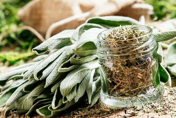 TKE Farms & Gardens - Sage Seeds for Planting - 120+ Heirloom Non-GMO Sage Seeds, Ideal for Indoor & Outdoor Gardens, Great for House Plant Seeds, Salvia officinalis, Includes Growing Instruction