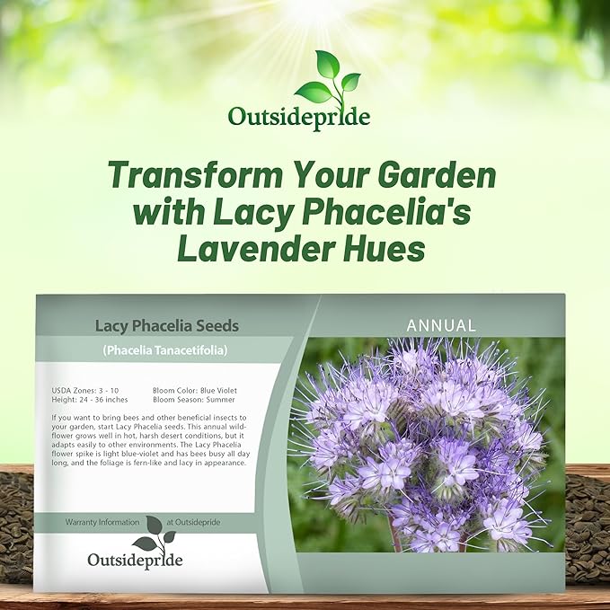 Outsidepride 5000 Seeds Annual Lacy Phacelia Wild Flowers Seeds for Planting