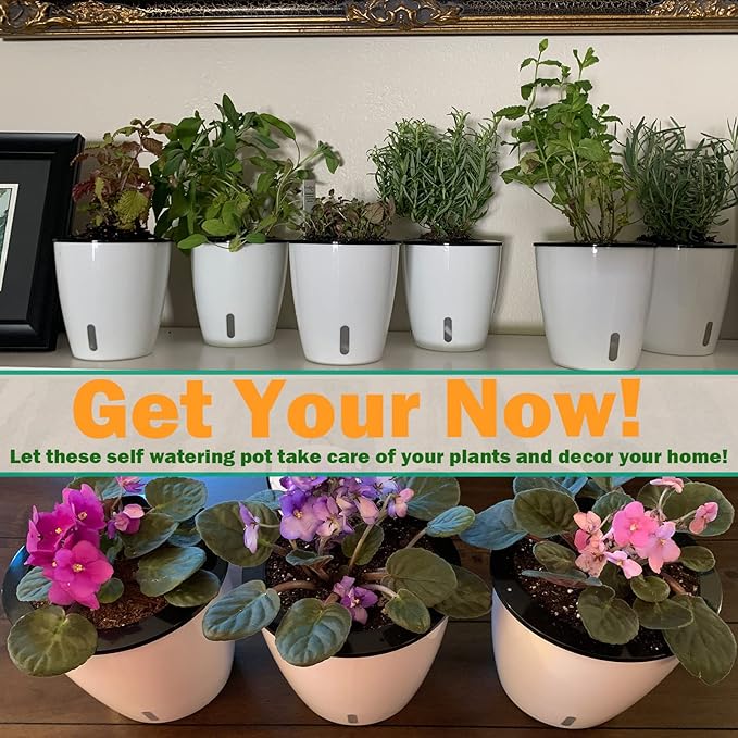 Planterhoma 6.7 Inch Self Watering Pots for Indoor Plants, 6 Packs White African Violet Pots with Water Indicator and Black Wick Pots, Self Watering Planters for Devil's Ivy, Indoor Plant Pots
