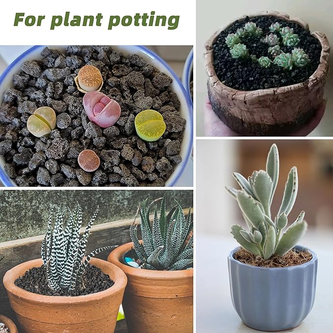 7LB Black Lava Rocks for Plants, Volcanic Rock Horticultural Lava Rock Soil for Landscaping Plants Drainage, Small Lava Rock Gravel for Succulents, Bonsai, Vase Fillers, Top Dressing