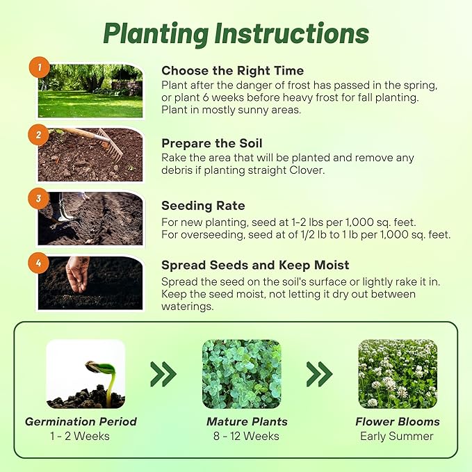 Outsidepride Perennial White Dutch Clover Seed - 1 lbs. Nitrocoated, Inoculated Clover Seeds for Lawn Alternative, Erosion Control, Food Plots, Ground Cover, & Pasture Mixtures in USDA Zones 3-10