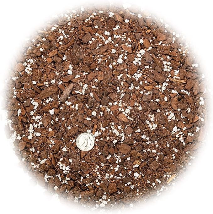Albo Variegata Potting Mix - Enhances Drainage and Prevents Root Rot - 10 Quart (2 Bags of 5 Quart)