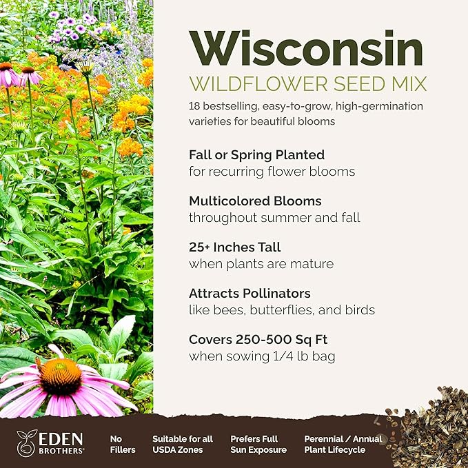 Eden Brothers Wisconsin Wildflower Mixed Seeds for Planting, 1/4 lb, 120,000+ Seeds with Sunflower, Aster | Attracts Pollinators, Plant in Spring or Fall, Zones
