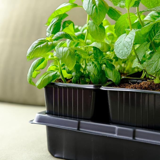 CARPATHEN 60Pack Square Nursery Pots - 3.8 Inch Reinforced Nursery Pots for Plants with Drainage - Reusable Seed Starter Pots for Flowers, Vegetables - Seedling Pots Kit with 10 Plastic Reusable Tags