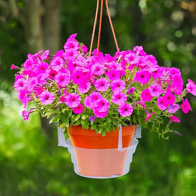 Adnee 15 Pcs Hanging Plant Water Catcher-8 Inch Clear Plastics Plant Water Catcher Tray-Hanging Plant Saucers Drip Pans for Indoor Outdoor Hanging Basket Flower Pot