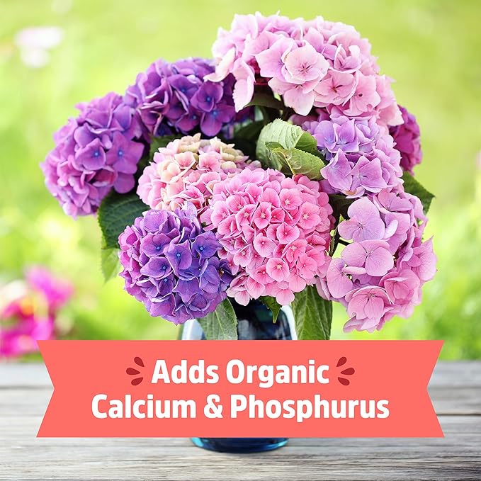 Back to the Roots 100% Organic Bone Meal | Made in The USA | Premium Nutrition for Indoor and Outdoor Plants