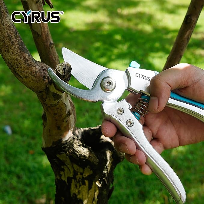 CYRUS Pruning Shears, 8" Pruning Shears Professional Steel Blades with Bypass Edge for Cutting Branches and Twigs up to 24mm in Diameter, Tool for Pruning Garden Branches and Potted Plants (00317)