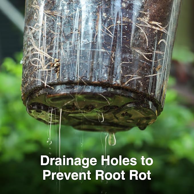 Bonviee Clear Nursery Pots for Plants, 3.5 Inch Plant Pot for Planting Plastic Seedling Pots with Drainage Holes Seed Starter Pot Flower Pots High Transparency with 20 Plant Labels (60 Pack)