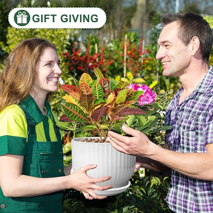 8 Inch Plant Pot, Ceramic Planter with Drainage and Saucer, Ceramic Pots for Plants, Indoor Plant pots,Ceramic Flower pots(Pure White, Plants NOT Included)