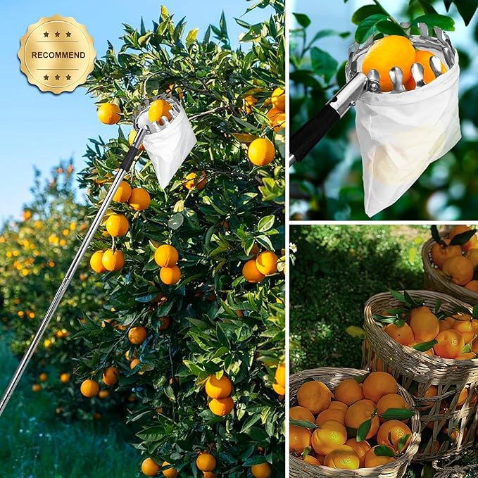 Fruit Picker Pole Tool with Basket Telescoping, 3.2FT-5.5FT Adjustable Pole, Apple Picker Tool with Soft Bag, Long Handle Picker for Avocado, Lemon, Orange, Mango, Limes, Persimmons, Plums