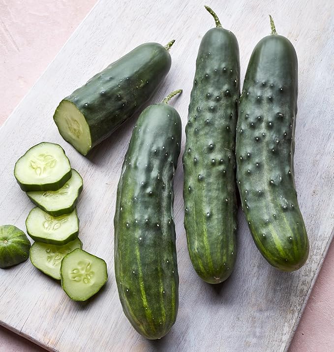 Burpee 'Marketmore 76' Slicing Cucumber Seeds, 125 Non-GMO seeds, Heirloom