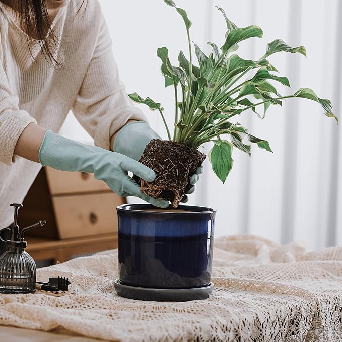 8 Inch Plant Pot: Ceramic Planter with Drainage Hole & Saucer for Indoor Outdoor Plants - Flowerpot with Bonded Tray for Home Office - Blue Reactive Glaze