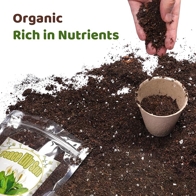 Organic Peace Lily Soil Mix 2qt, Indoor Plants Potting Mix for Planting, Growing, or Repotting Peace Lily Plants, Grow Healthy houseplants Indoors