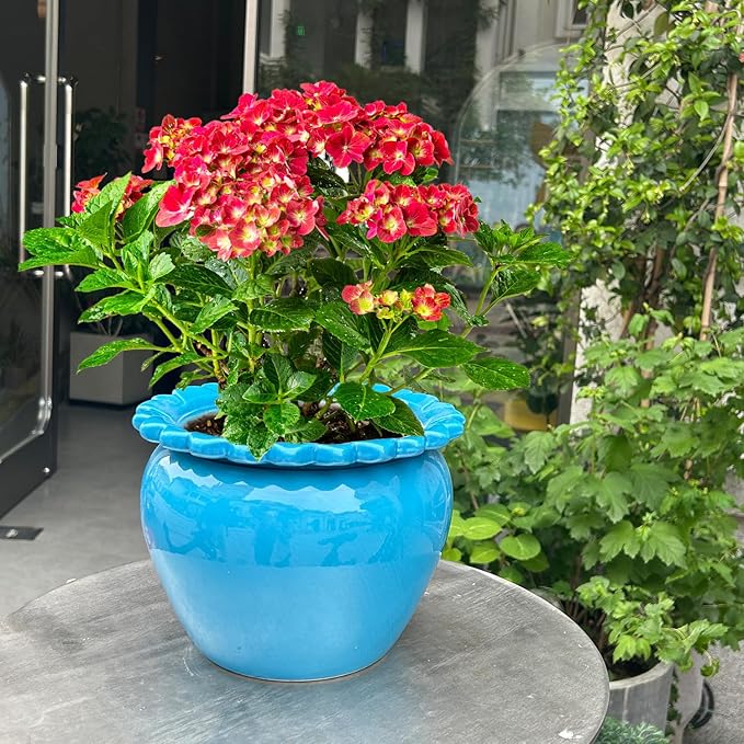 10.5in Large Ceramic Planters for Indoor Plants Blue Self-Watering Terracotta Planter Green Dolomite Clay Morden Decor Simple Irrigation Terracotta Clay Pots with Creamic Reservoir