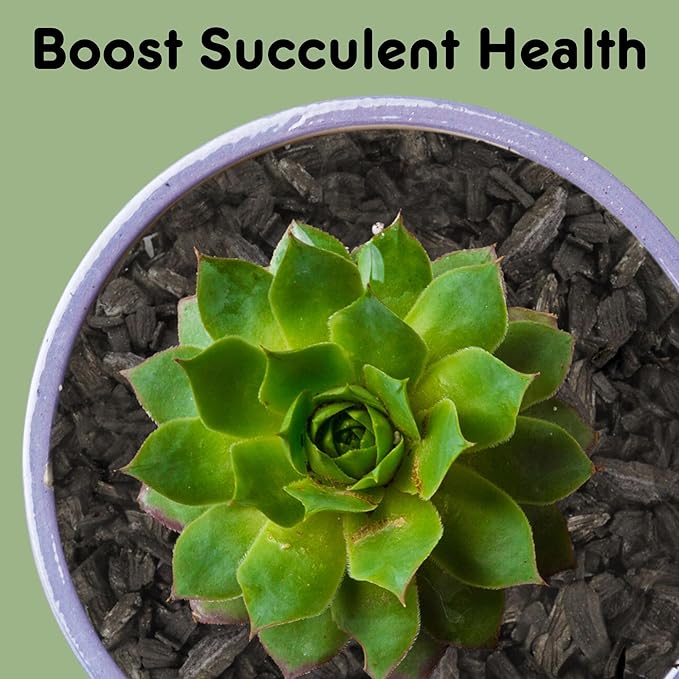 Horticultural Charcoal for Indoor Plants (4 Quarts), Hardwood Soil Additive for Orchids, Terrariums, and Gardening