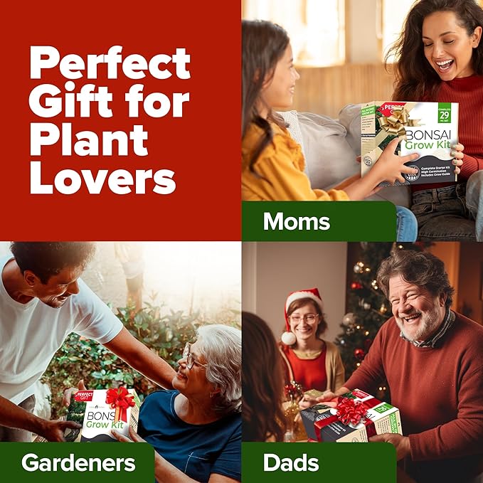 Bonsai Tree Kit - Gifts for Men & Women (Master Kit)