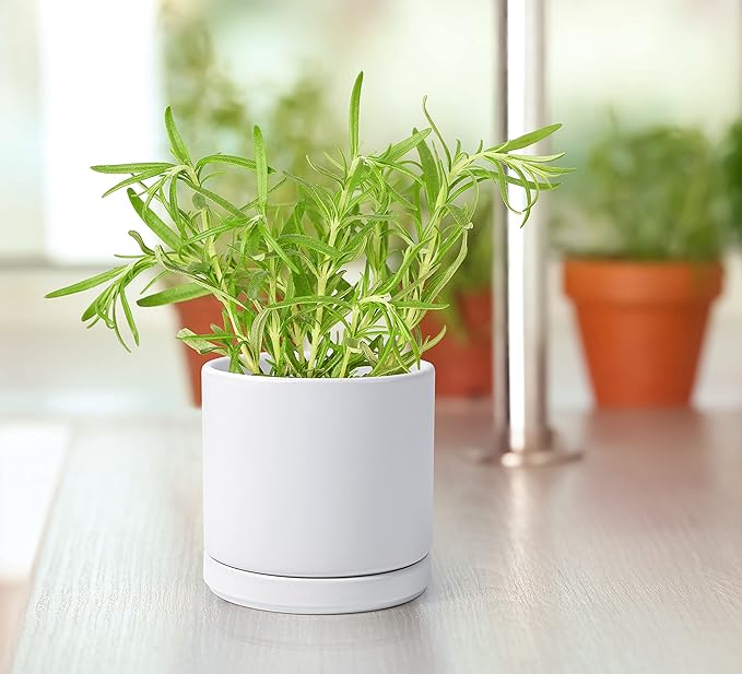 D'vine Dev Ceramic Planter Pot with Drainage Hole and Saucer, Indoor Cylinder Round Flower Pot, 4.6 Inch, White, 94-O-B-1