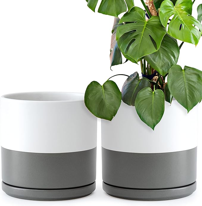D'vine Dev Set of 2 Plants Pots, 10 Inch Ceramic Planter Pot for Plants with Drainage Hole and Saucer, White/Speckled Grey, 94-V-E-6