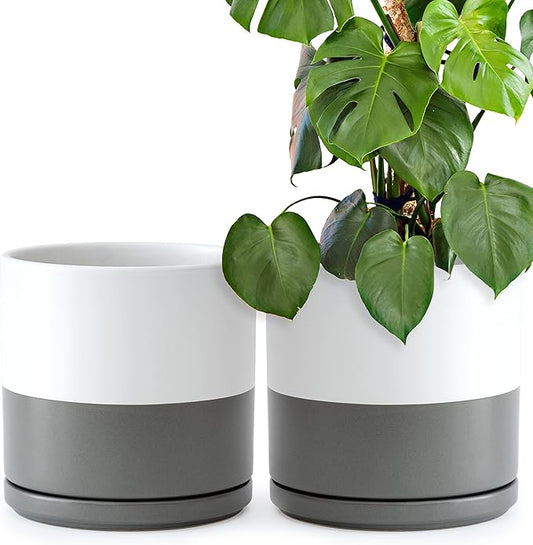 D'vine Dev Set of 2 Plants Pots, 10 Inch Ceramic Planter Pot for Plants with Drainage Hole and Saucer, White/Speckled Grey, 94-V-E-6