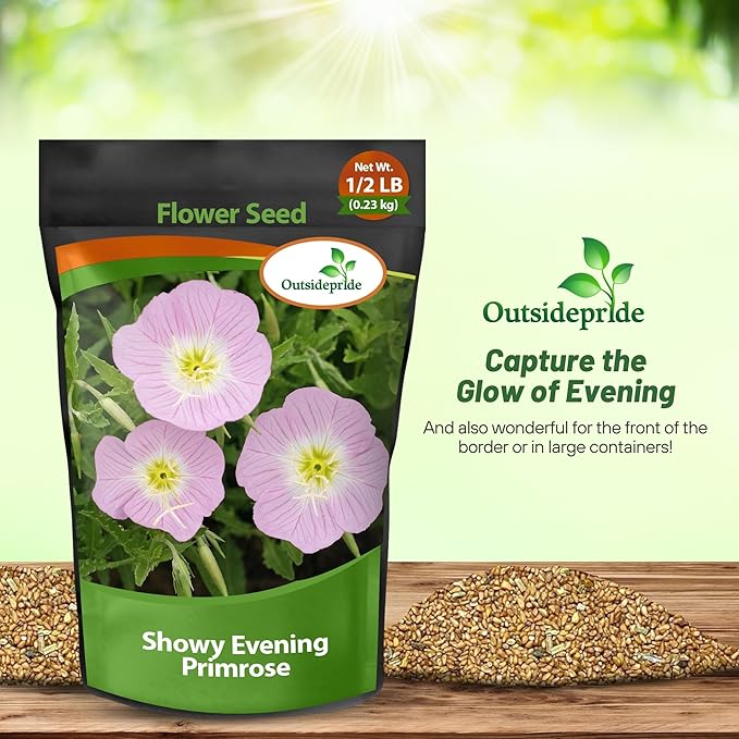 Outsidepride 1/2 lb. Perennial Oenothera Speciosa Showy Evening Primrose Wild Flower Seeds for Planting