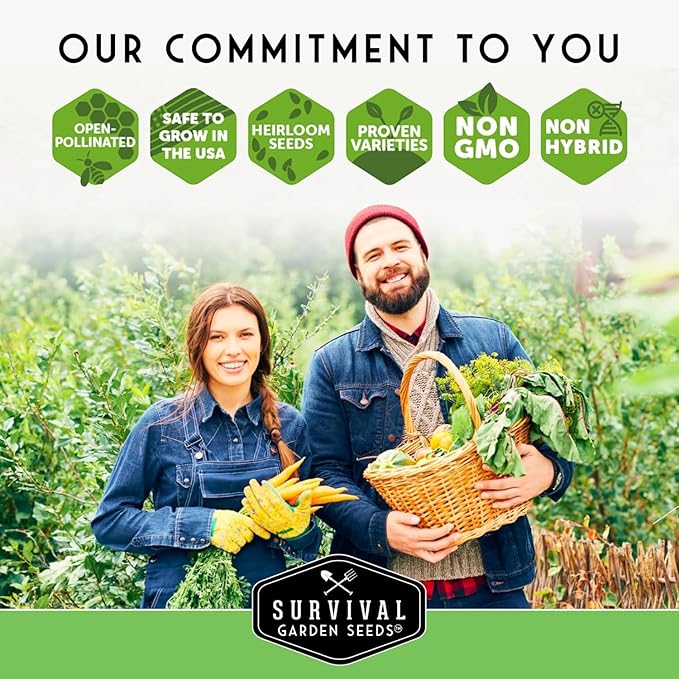 Blue Jarrahdale Pumpkin Seeds for Planting - 3 Packets with Instructions to Plant & Grow Decorative and Flavorful Blue Pumpkins in Your Home Garden - Non-GMO Heirloom Variety - Survival Garden Seeds