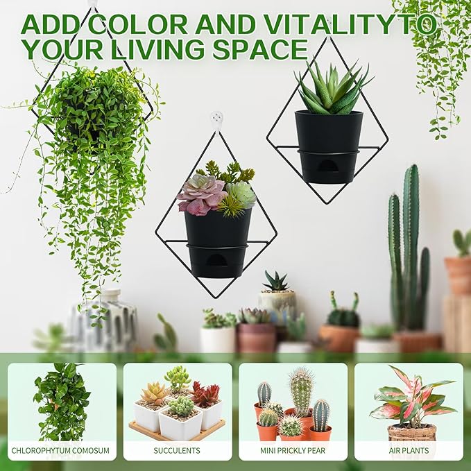 3 Sets of Wall Planters for Indoor Plants, Hanging Wall Planter with Black Metal Holder, Geometric Self Watering Wall Flower Pots, Wall Mounted Succulent Planter, 5" Black Plant Pot