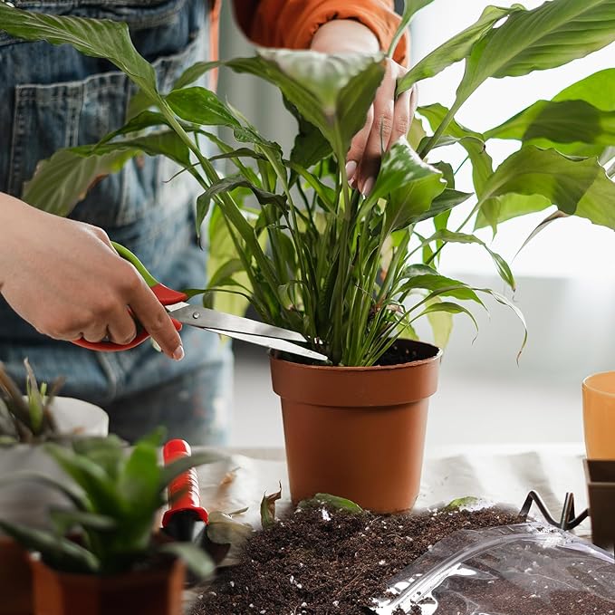 Organic Peace Lily Soil Mix 10qt, Indoor Plants Potting Mix for Planting, Growing, or Repotting Peace Lily Plants, Grow Healthy houseplants Indoors