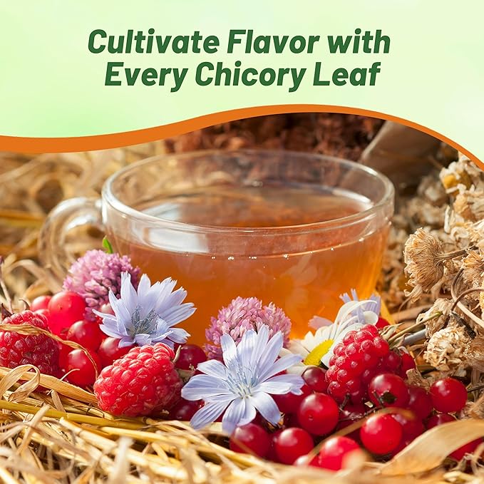 Outsidepride 1/4 lb. Perennial Chicory Flower Seeds for Planting