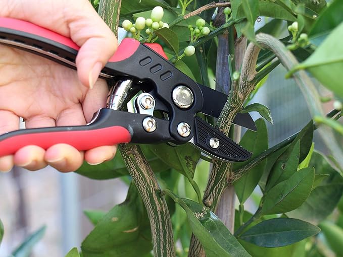 TABOR TOOLS S852A Anvil Hand Pruner with Compound Action, Makes Clean Cuts. Professional Sharp Secateurs, Pruning Shears, Garden Shears, Clippers for the Garden.