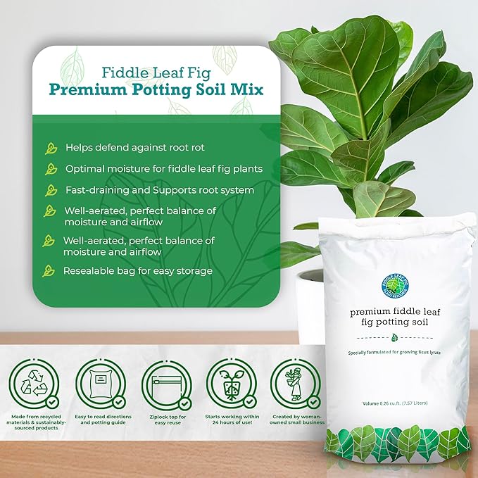 Fiddle Leaf Fig Potting Soil Mix by Fiddle Leaf Fig Plant Resource | Premium Organic Soil with Enhanced Drainage for Fast Growth and Healthy Roots (Large Bag)