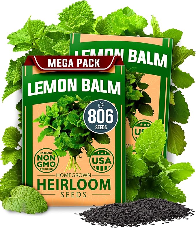 HOME GROWN Lemon Balm Seeds Pack - 806 Non-GMO Heirloom Herbal Tea Seeds - Bulk Lemon Balm Seeds for Planting Herbal Tea Gardens Indoors or Outdoors - USA Sourced Herb Seeds (Melissa officinalis)