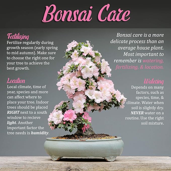 BambooMN Bonsai Basics Set - 7.2" Trimming Shears & 7" Heavy Duty Butterfly Shear - 30 Sets