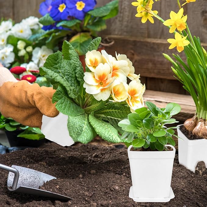 OJYUDD 72 Pcs 3 Inch White Square Plastic Pots with Saucer,White Plastic Plant Seedling Pots,Seedling Nursery Pots Indoor Outdoor for Succulents/Plant,Garden,Office and Balcony Decor