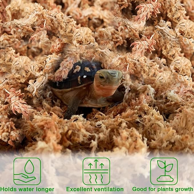 Halatool Sphagnum Moss for Potted Plants, Natural Swamp Moss for Orchid Succulent Carnivorous, Dried Long Fiber Sphagnum Moss for Moss Pole, 100% Natural Moss Bulk (10oz, 14QT, 284G)