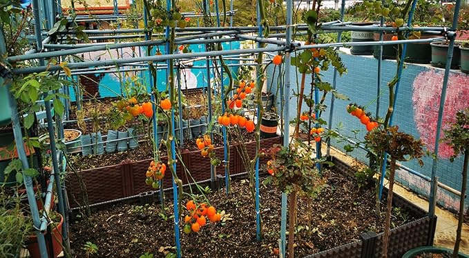 25QT Organic Perlite Horticultural Soil Amendment for Plants and Enhanced Drainage Enhanced