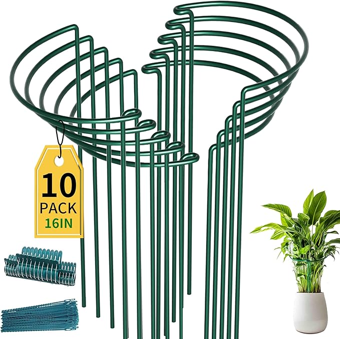 TCBWFY 10 Pack Garden Plant Support Stakes,10" Widex16 High Heavy Duty Interlinked Half Round Peony Support Ring Cage for Indoor Outdoor Plants,Plant Supports for Peony,Tomato,Hydrangea,Rose