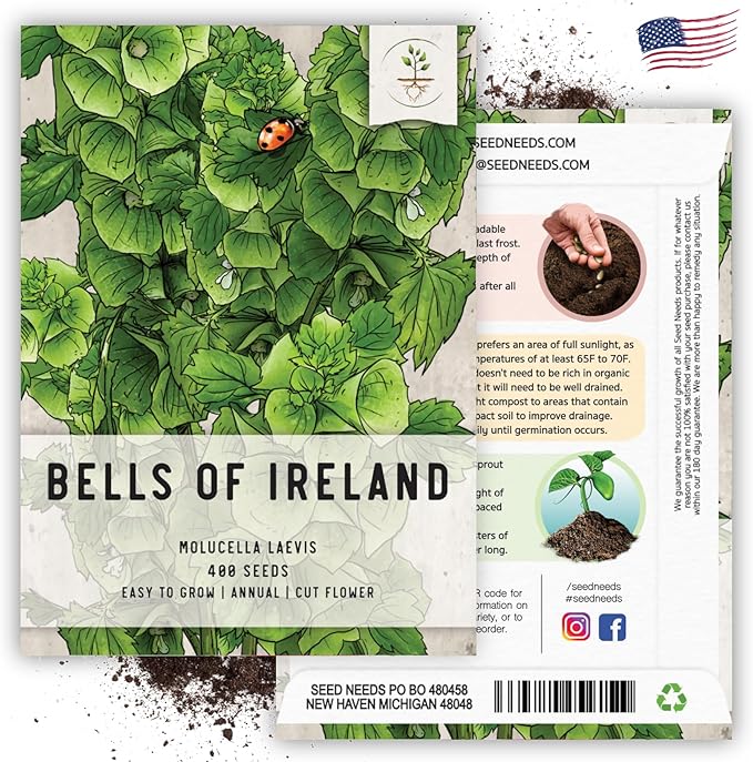 Seed Needs, Bells of Ireland Seeds - 400 Heirloom Seeds for Planting Molucella laevis - Green Bell Shaped Flowers, Perfect as a Cut Flower, Attracts Pollinators (1 Pack)