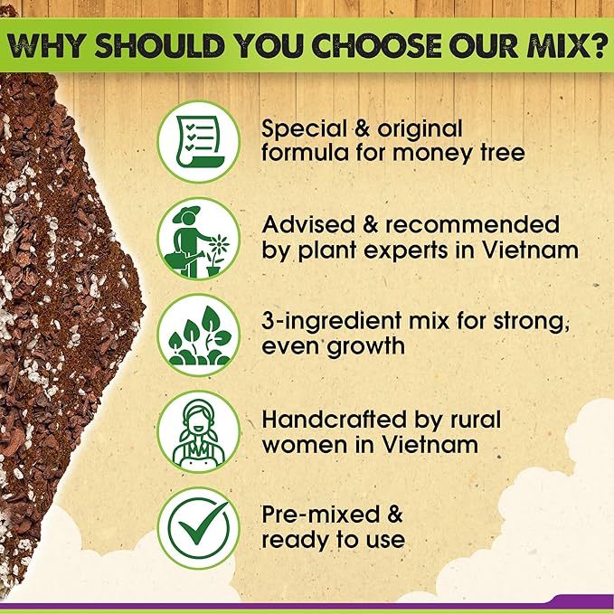 DUSPRO Recycle Money Tree Soil, Premium Coco Coir Perlite Mix and Pine Bark for Money Tree Soil, Ideal Money Tree Soil for Healthy Growth and Nourishment (6 Quarts)