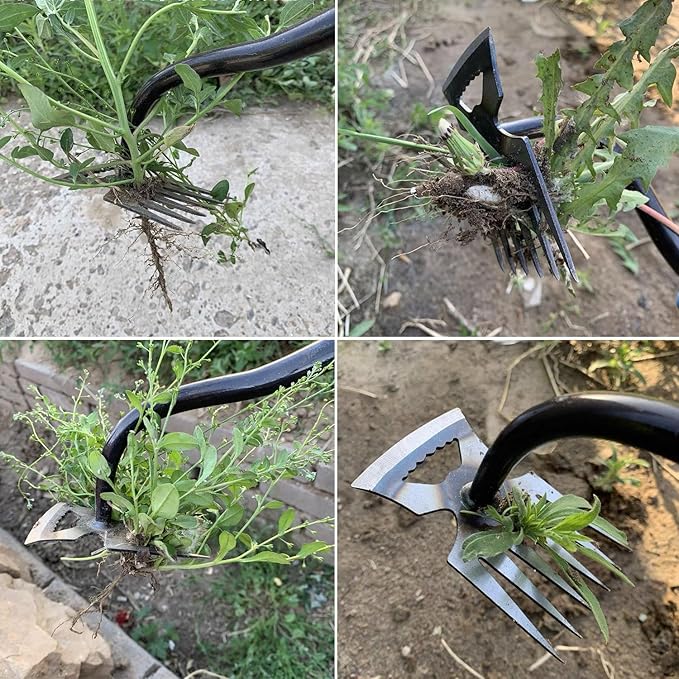 5 Pack Stainless Weeding Artifact Uprooting Weeding Tool, Stainless Steel Forged Weed Puller 5 Teeth Dual Purpose Weeder, Hand Weeder Tool for Gardening with Long Handle