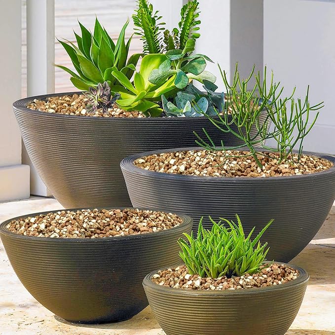 Halatool 4 QT Horticulture Vermiculite Professional Soil Addictive Coarse Grade Vermiculite for Plants Gardening Mushrooms Seed Starting Cat Grass