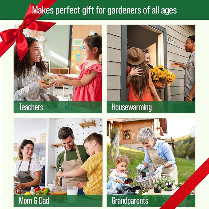 4 Herb Garden Kit with Grow Rings and Greenhouse Germination Domes – Certified Organic Herb Planter Kit – Gardening Gift for Mom, Teachers, Women, and Men – Made in USA