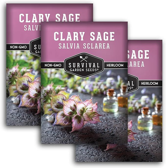 Survival Garden Seeds - Clary Sage Seed for Planting - 3 Packs with Instructions to Plant & Grow Salvia Sclarea Medicinal Herbs in Your Herbal Garden - Non-GMO Heirloom Variety