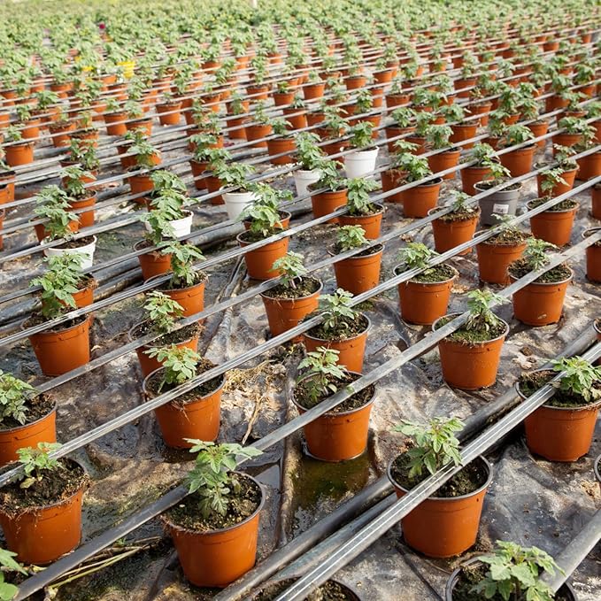 Hushee 1500 Pcs 4/5/6 Inch Plastic Plants Nursery Pots Seed Starting Pots Seedling Plant Pots with Drainage Holes Plastic Planters Planting Pots Indoor Outdoor for Flower Transplanting (Classic)