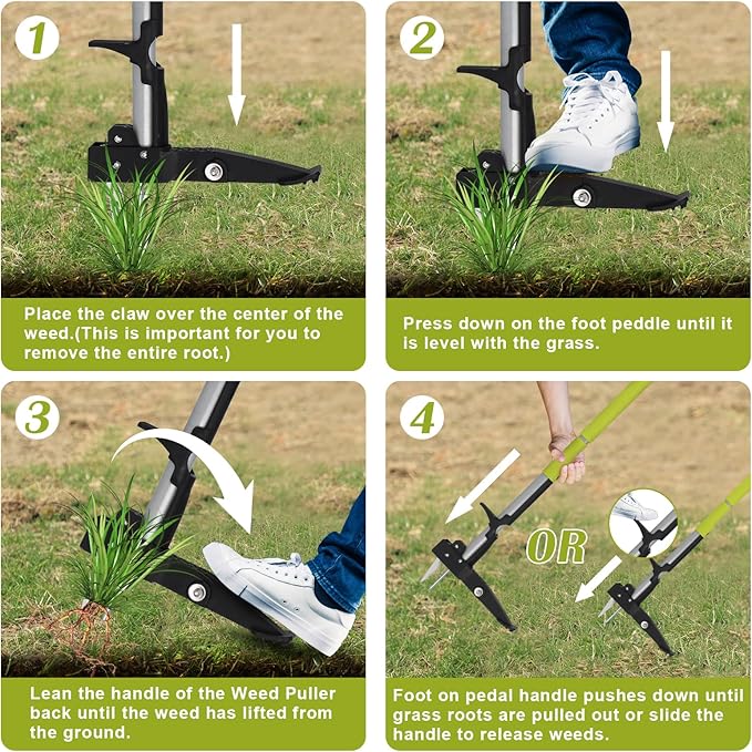 4-Claw Weed Puller Tool All-in-one with Long Handle Adjustable 39" to 47",Stand Up Weed Puller Tool for Yard, Gardening Weeding Tool Stainless Steel Claws, (No Assembly)