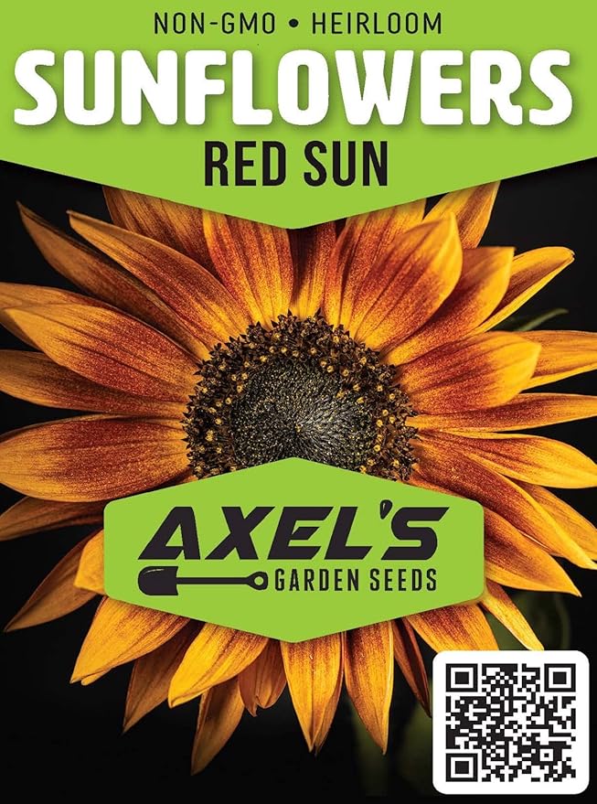 Sunflower Seeds for Planting - Grow Unique Sun Flowers in Your Garden - 25 Non GMO Heirloom Seeds - Full Planting Instructions for Easy to Grow Red Sun Sunflowers - Great Gardening Gifts (3 Packets)