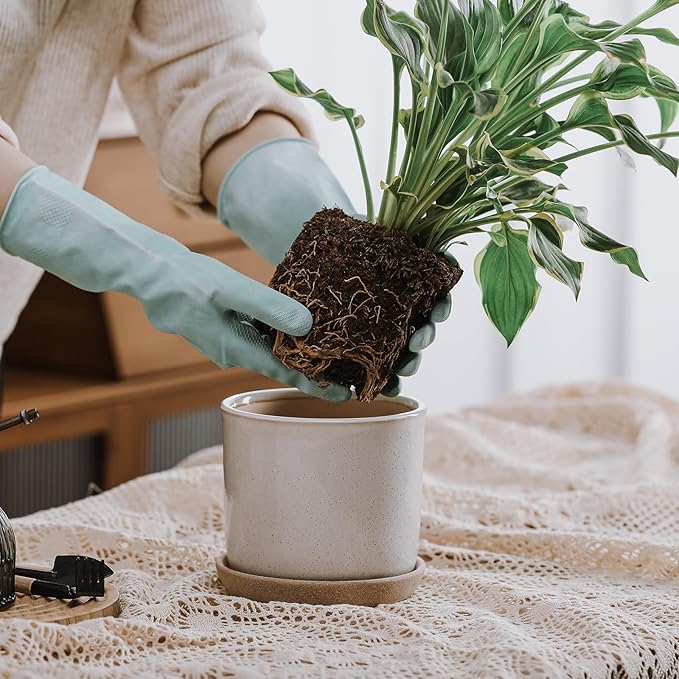 6 Inch Plant Pot: Ceramic Planter with Drainage Hole & Saucer for Indoor Outdoor Plants - Flowerpot with Bonded Tray for Home Office - Retro Style, Grey