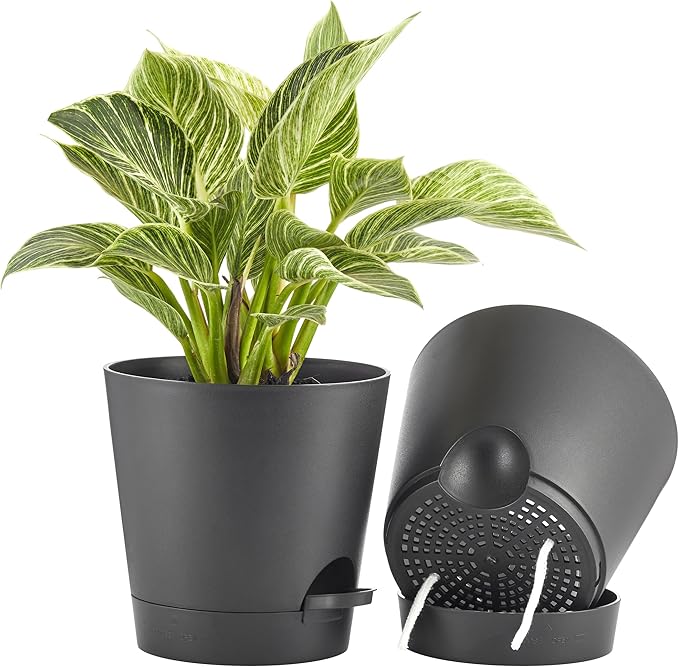 FaithLand 2-Pack 8 Inch Planter Pots for Indoor Outdoor Plants, Self Watering Flower Pots with Deep Reservoir, Black …